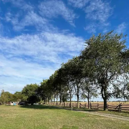 Salas Munja Tatil Evi *